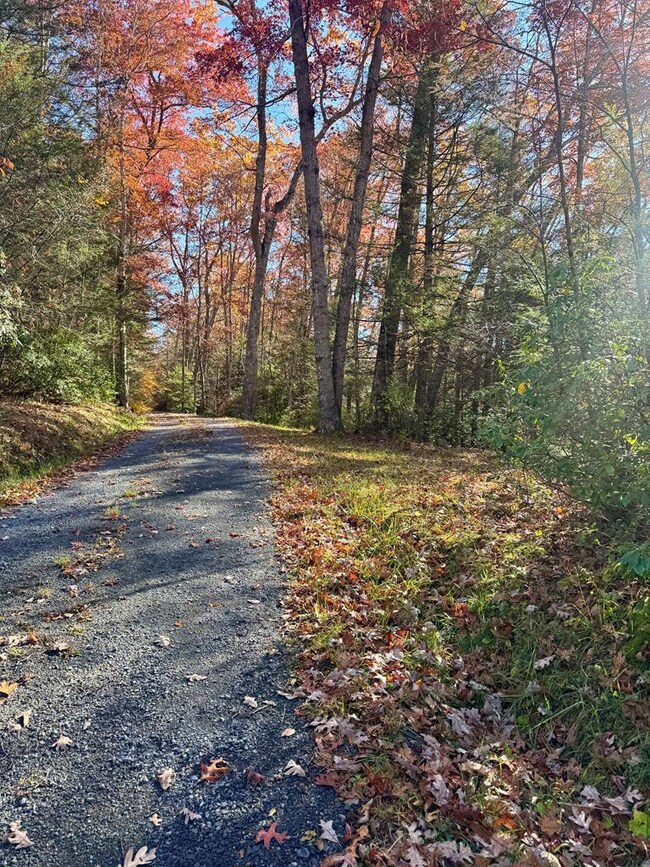 58 Martin Ln, Nallen, WV 26680 - photo 3