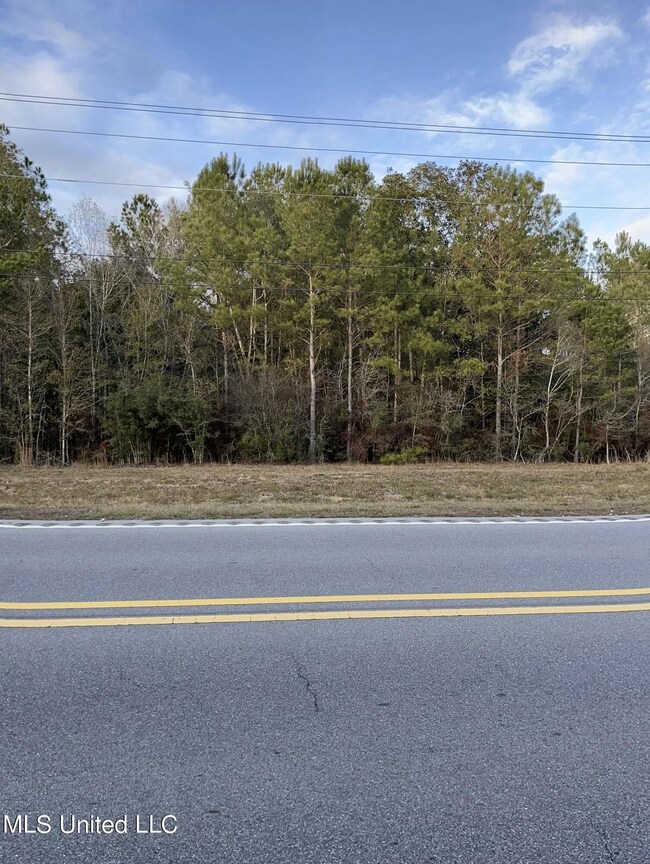 S Leetown and Highway 43, Picayune, MS 39466 - photo 3