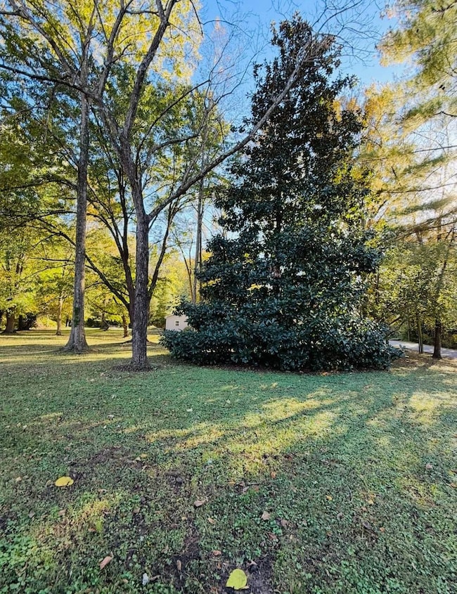 4956 Shady Rd, Cannelton, IN 47520 - photo 3