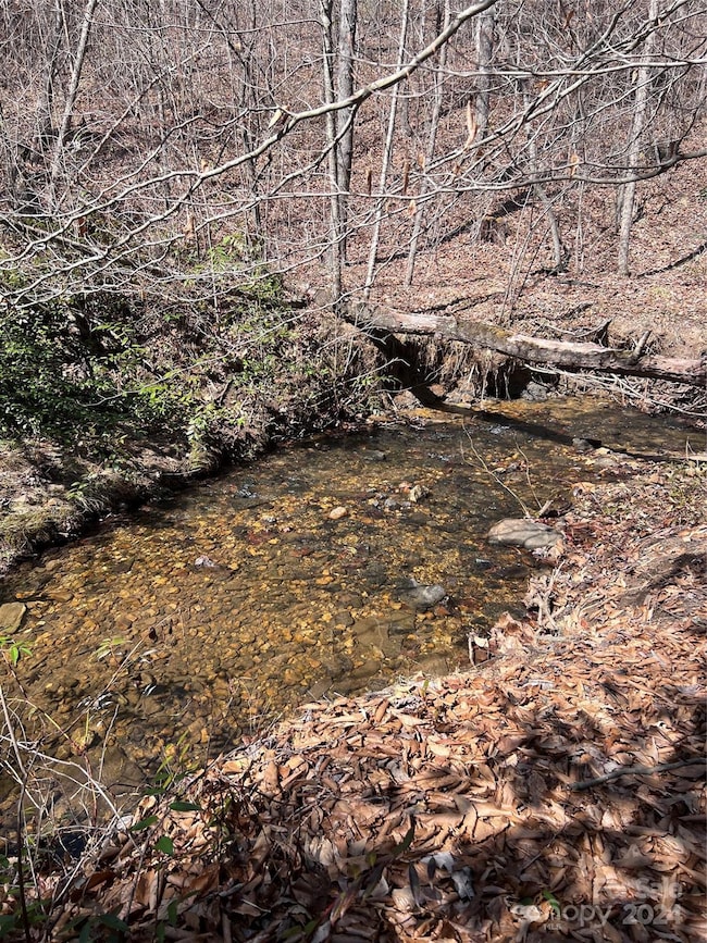 Tract 1 Holbert Cove Rd, Mill Spring, NC 28756 - photo 7