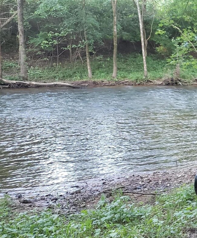 2930 River Bluff Farms Rd, Farmington, MO 63640 - photo 2