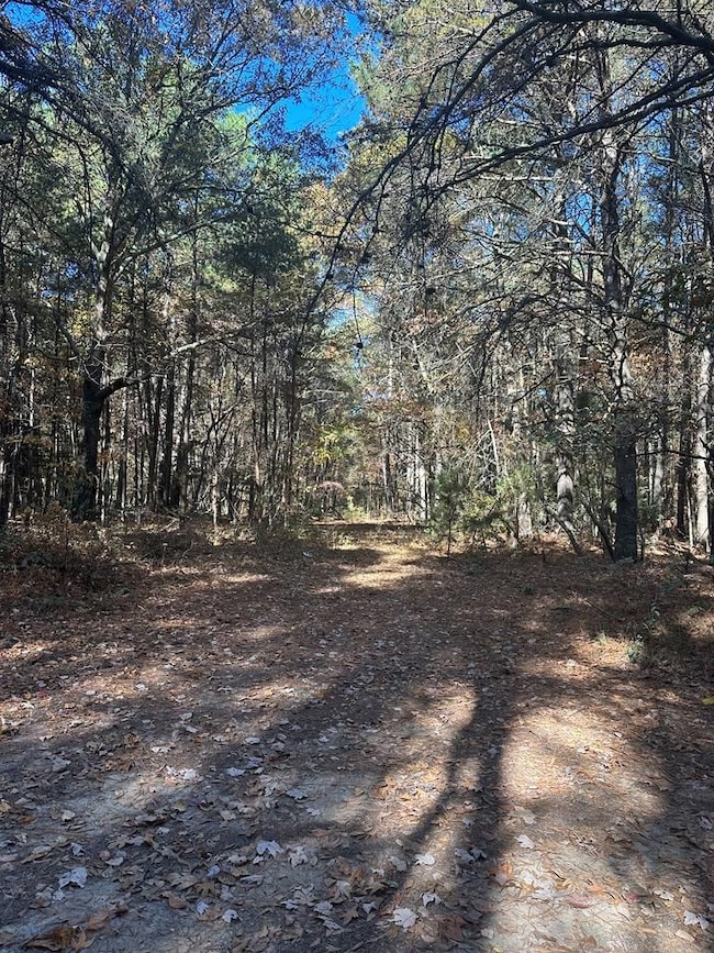 Lot 131 Metompkin Rd unit 131, Parksley, VA 23421 - photo 7