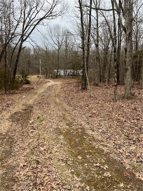 14200 Sugar Mountain Rd, West Fork, AR 72774 - photo 7