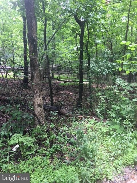 0 Cedar Ln unit 1002084256, Buckmarsh, VA 20135 - photo 3