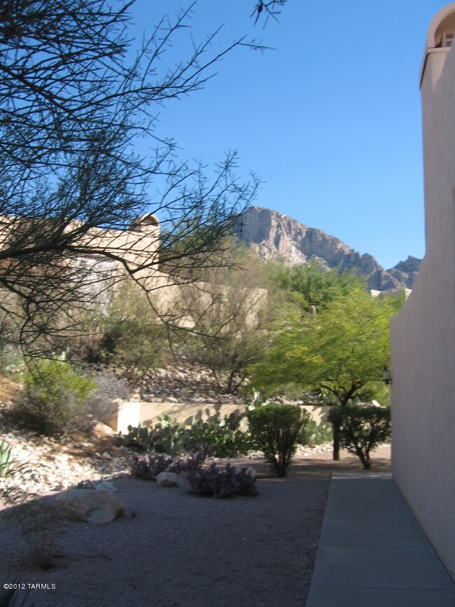 Another View from the Front Door