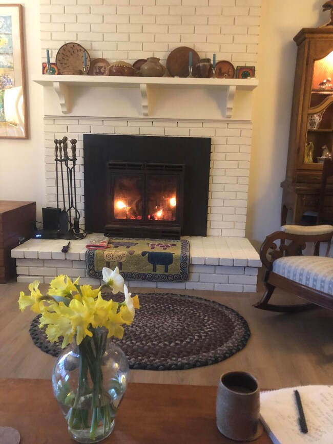 Fireplace in Living Room