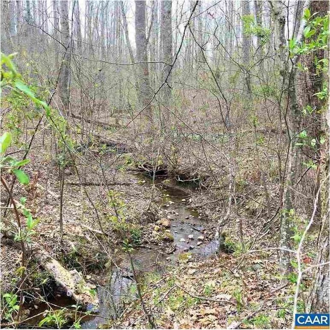 3255 Welsh Run Rd, Ruckersville, VA 22968 - photo 6