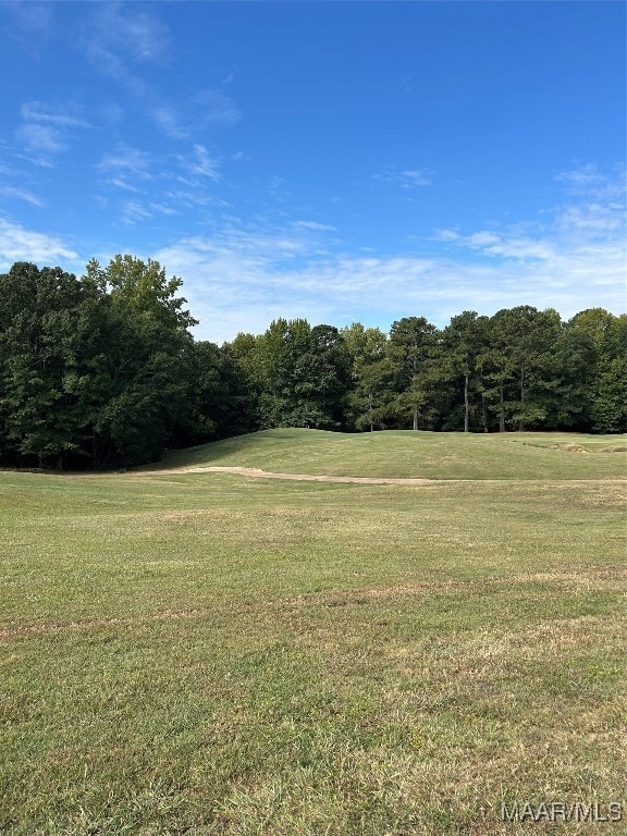 Lot 102 Beach Island Trace, Dadeville, AL 36853 - photo 4