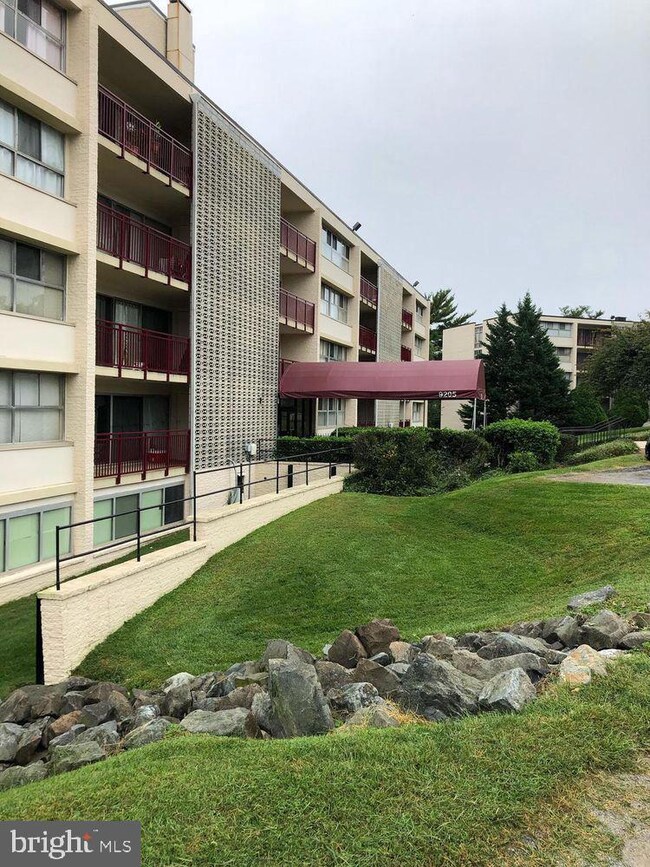 9205 New Hampshire Ave unit 203, Silver Spring, MD 20903 - photo 4