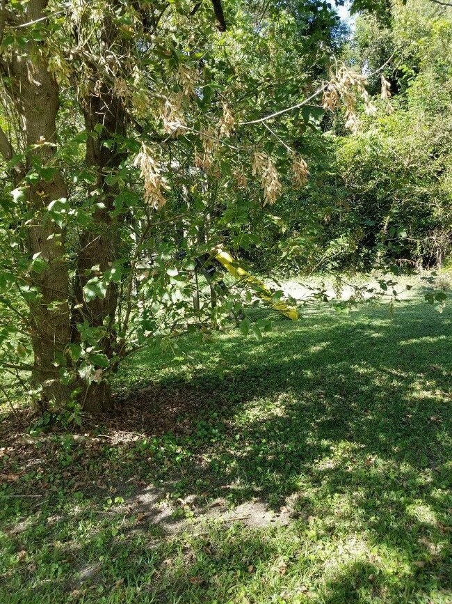 1303 4th St SE, Cullman, AL 35055 - photo 3