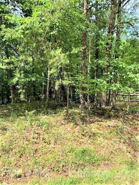 Lot 309 Sanderling Ct, Lake Lure, NC 28746 - photo 2