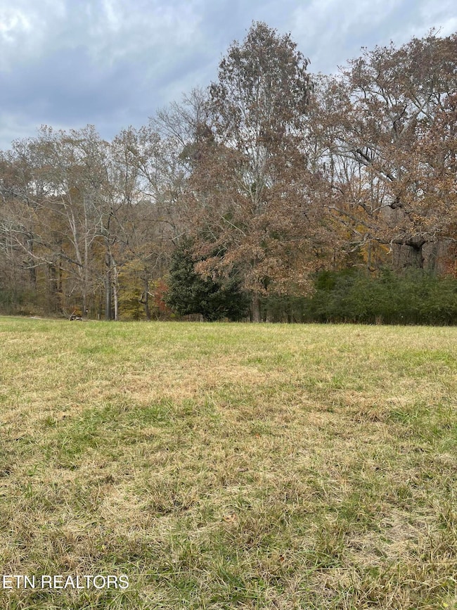 160 Brabson Ct, Kingston, TN 37763 - photo 5