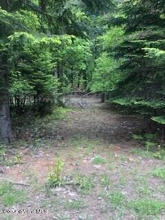 Granite Creek 2
