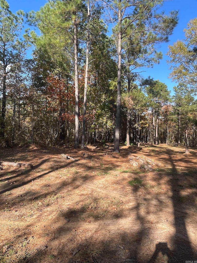 10957 Arkansas 160, Doddridge, AR 71834 - photo 7