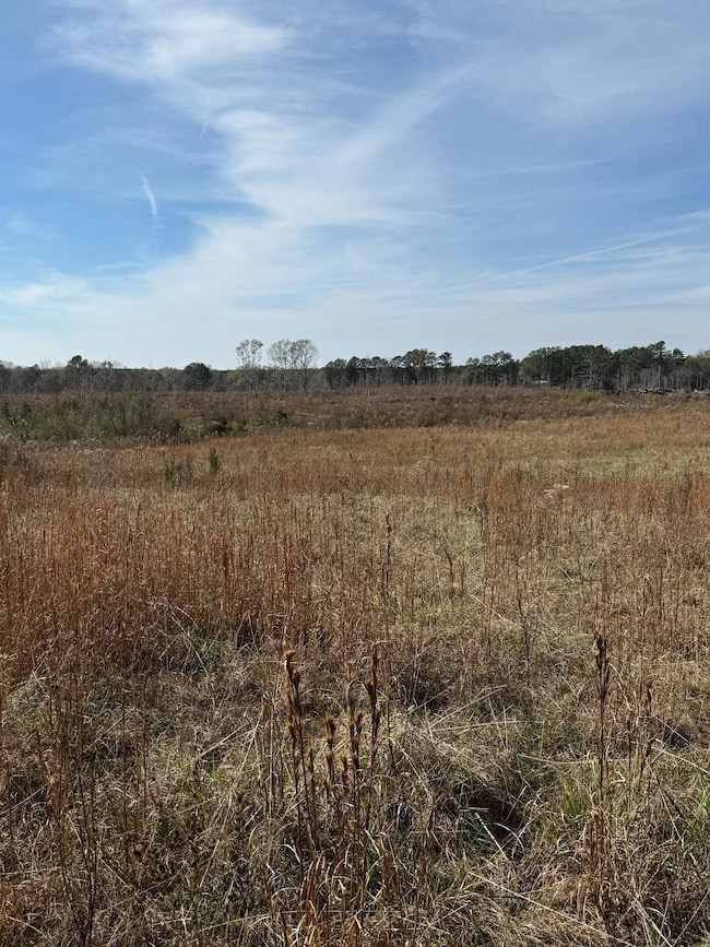 3141 Rdebuck Rd, Preston, MS 39354 - photo 6