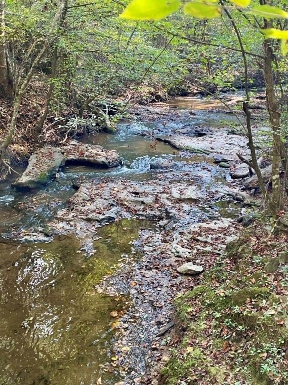 0 Highway 36 E unit 25704971, Jackson, GA 30233 - photo 4