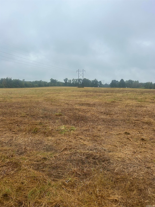 124 Pangburn Rd, Pangburn, AR 72121 - photo 2