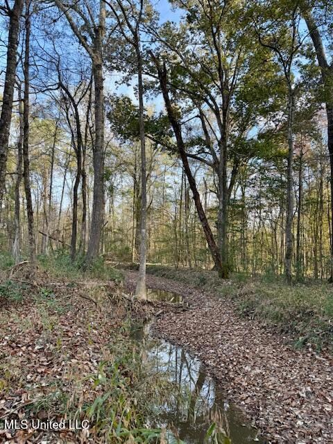 0 Perrytown Rd unit 4132583, Rosetta, MS 39633 - photo 6