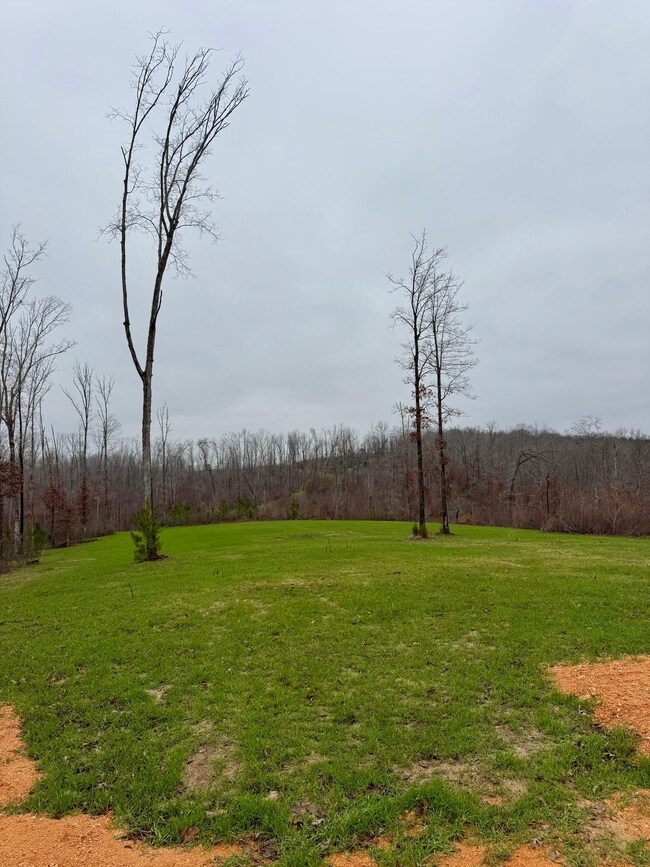 7900 Brooksie Thompson Rd, Bath Springs, TN 38311 - photo 6