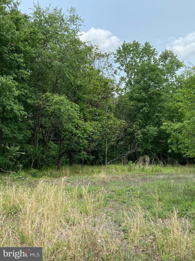 9579 State Route 209, Williamstown, PA 17098 - photo 5