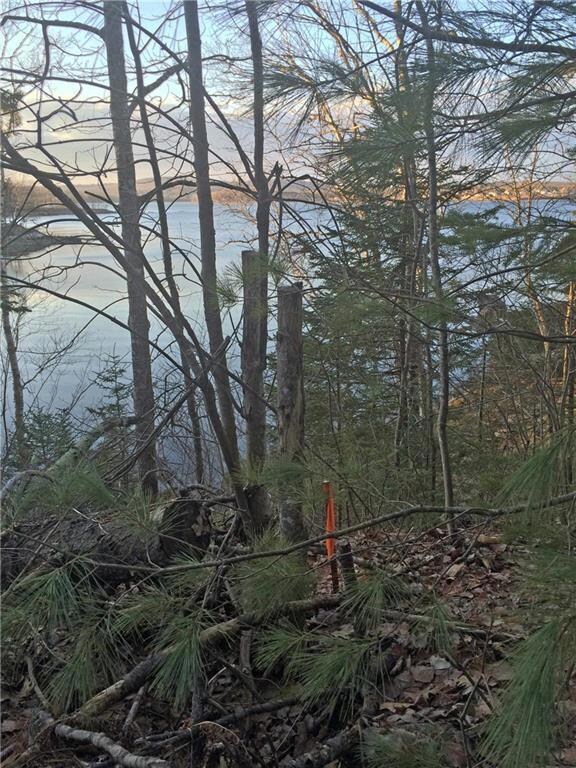 0 Southern Bay Bridges Point Rd unit 1265434, Penobscot, ME 04476 - photo 3