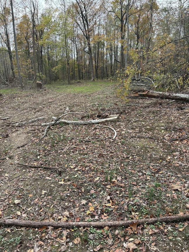 Pine Grove Ch Rd, Vanceburg, KY 41179 - photo 4