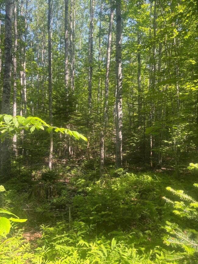 M5-L31,32 Gray, Harmony, ME 04942 - photo 3