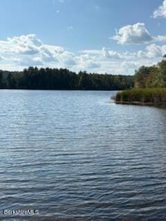 286 Lee Rd, Lenox, MA 01240 - photo 5