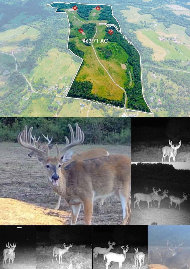 153 County Road 3, Mount Pleasant Township, OH 43943 - photo 3