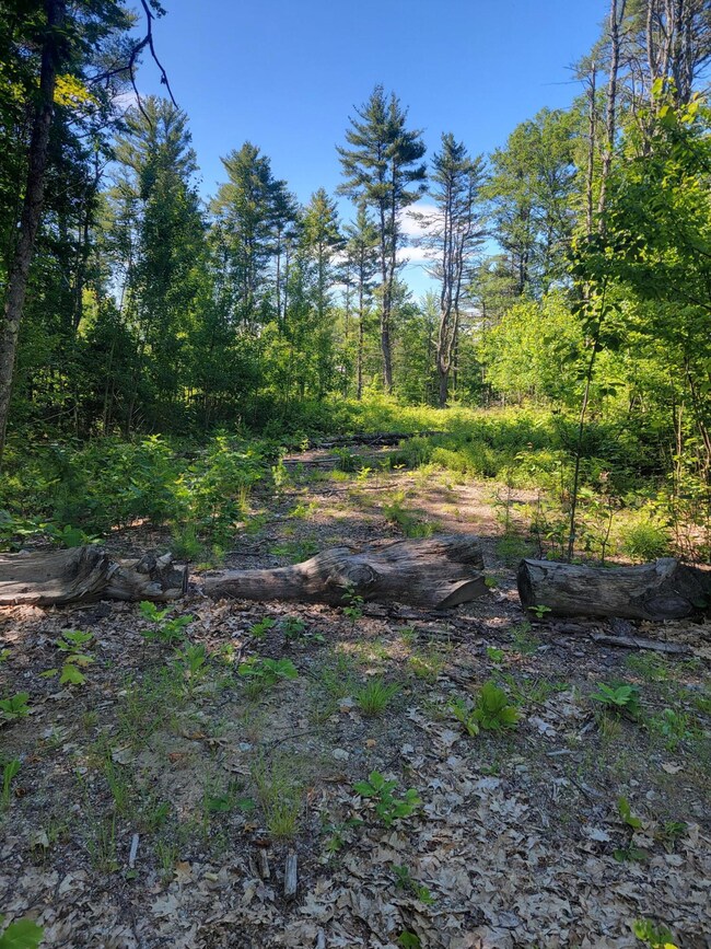 TBD Staples Rd, Newfield, ME 04095 - photo 3