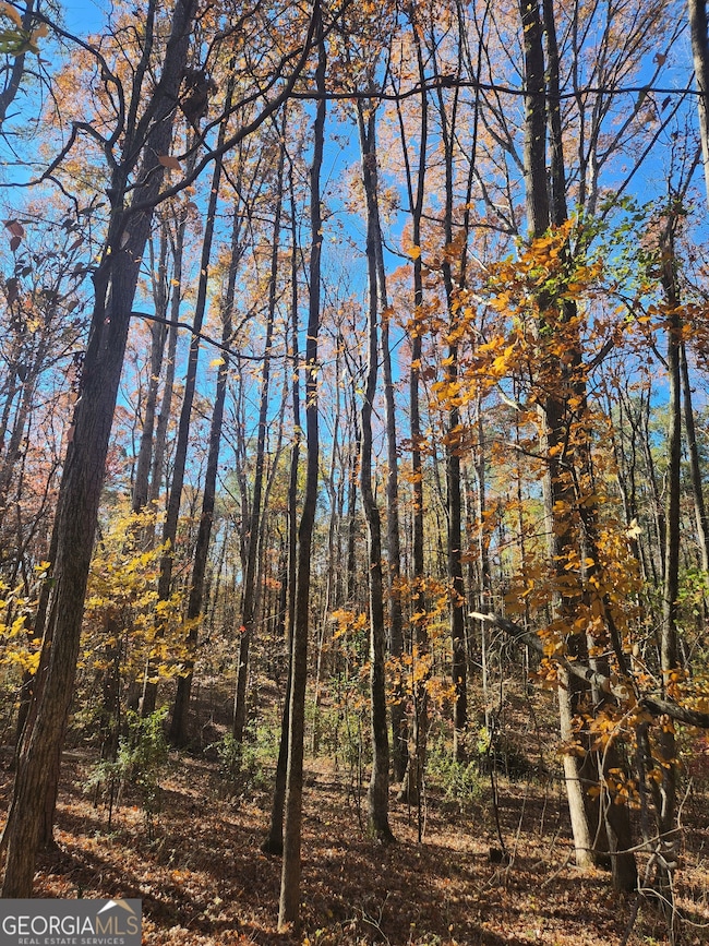 0 Woodland Creek Place unit 10421130, Hull, GA 30646 - photo 5