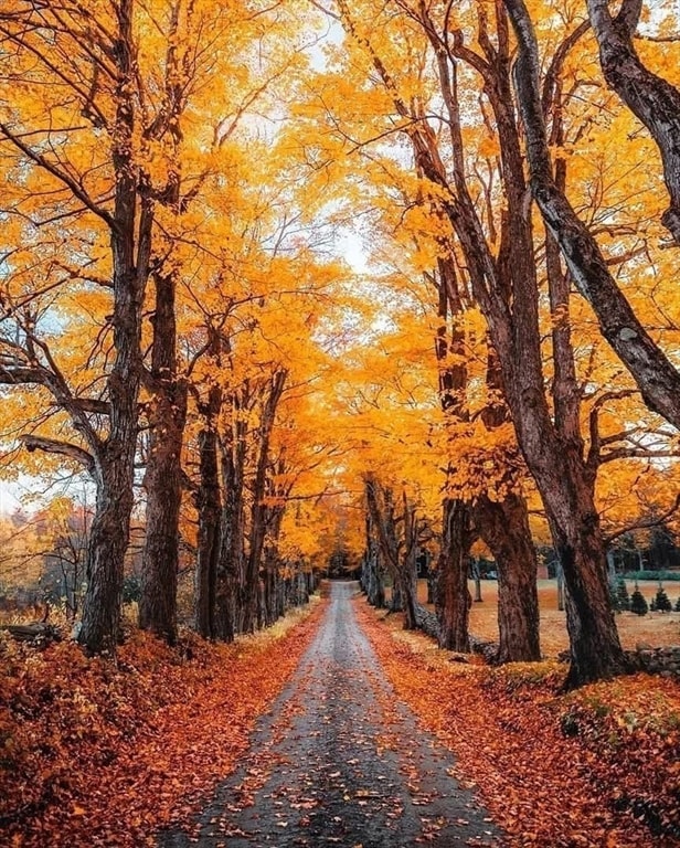 10 Maple St, Plainfield, MA 01070 - photo 6