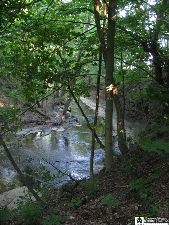 Spring Time trails along creek