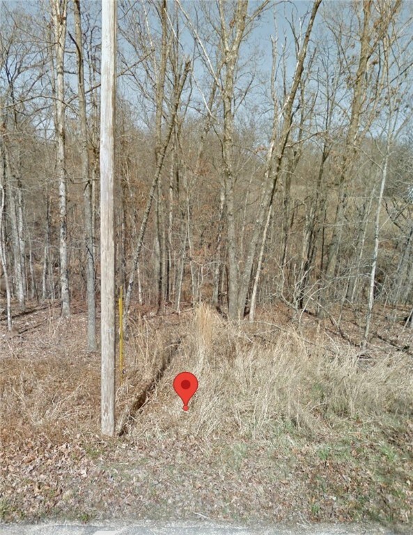 3 Chatburn Cir unit 1242234, Bella Vista, AR 72715 - photo 6