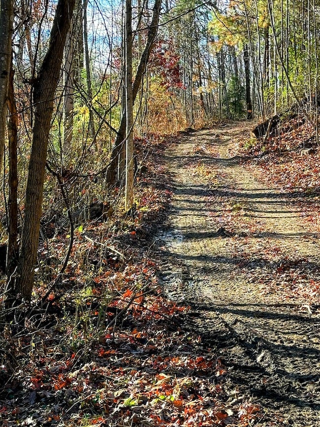 83 Farris Ln, Fayetteville, WV 25840 - photo 2