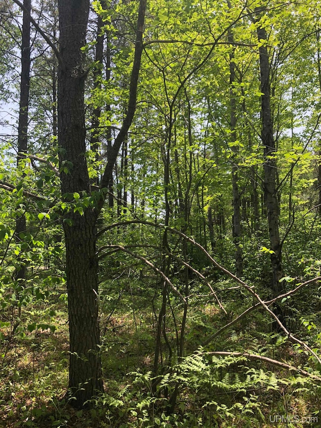 192 Johnson Lake Rd, Gwinn, MI 49841 - photo 7