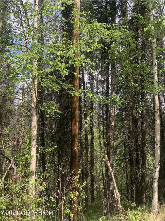 Screen Shot 2021-06-01 at 10.54.27 AM