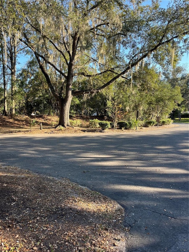 3426 NW 37th Ave unit A4, Gainesville, FL 32605 - photo 5