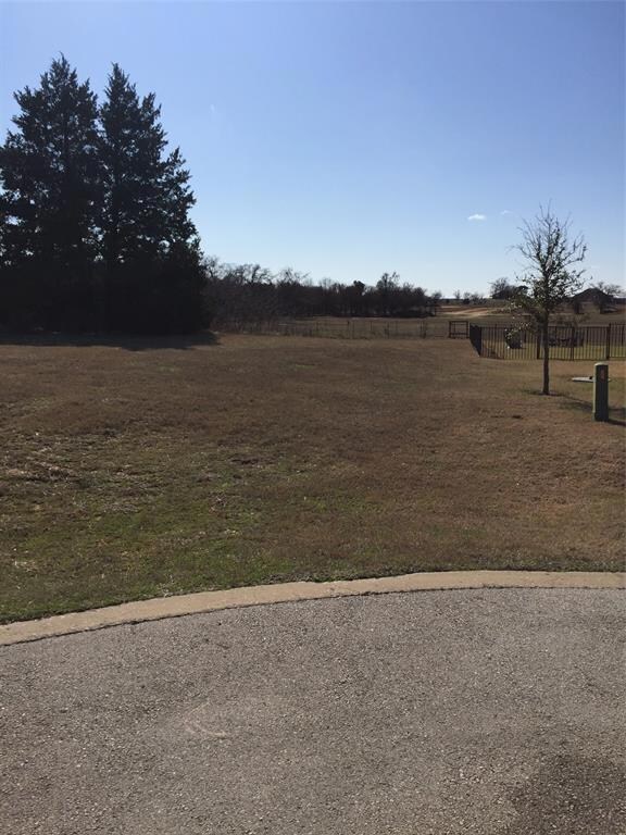 TBD L11 Meridian Ln, Gordonville, TX 76245 - photo 2