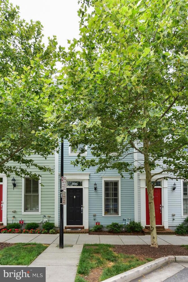 806 Madison St, Alexandria, VA 22314 - photo 2