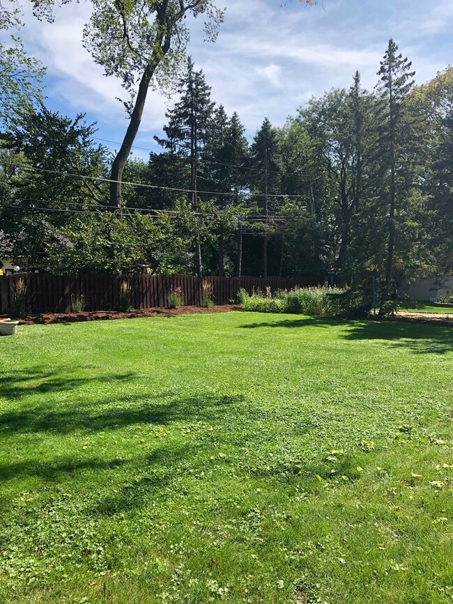 397 S York St, Elmhurst, IL 60126 - photo 3