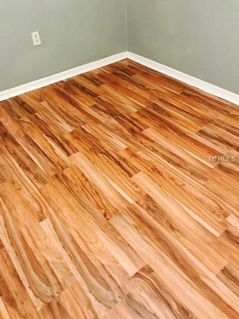 1523 Vernon Ct, Brandon, FL 33511 - photo 6