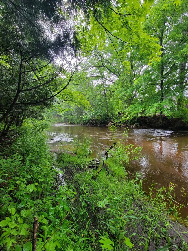 Wooded lot on Bear Creek
