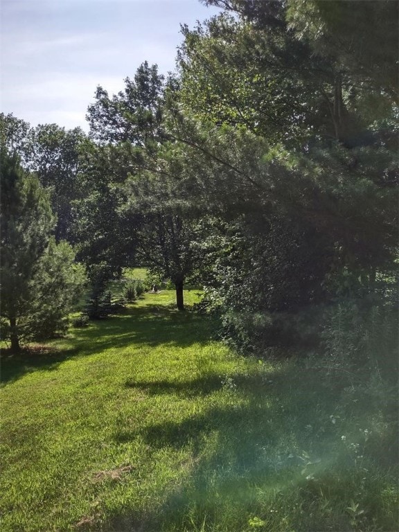 South Property Line