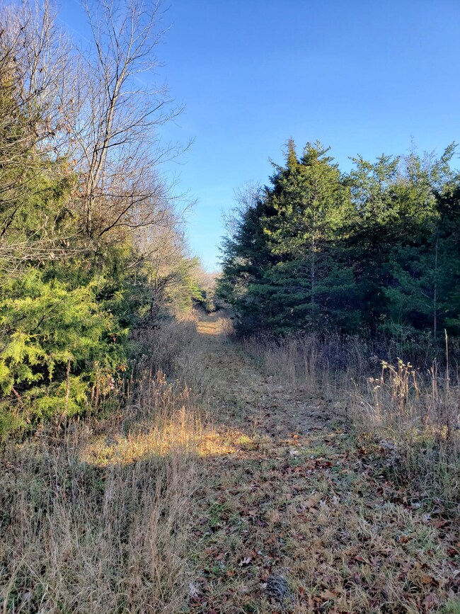 Trails through property
