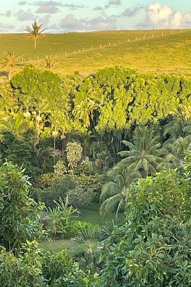 0 Hoolawa Rd unit 11570784, Haiku, HI 96708 - photo 5