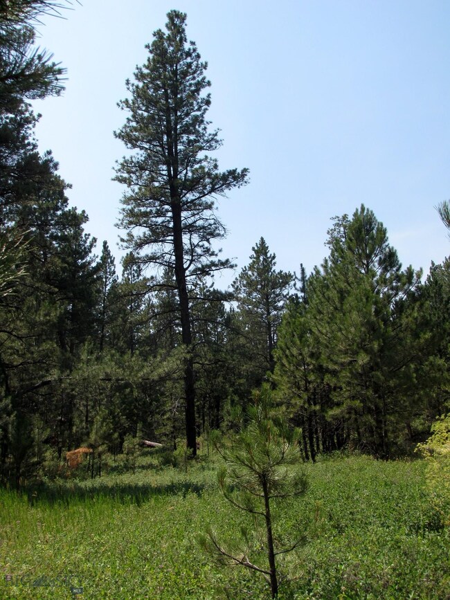 17 Bobcat Ln, Roundup, MT 59072 - photo 4