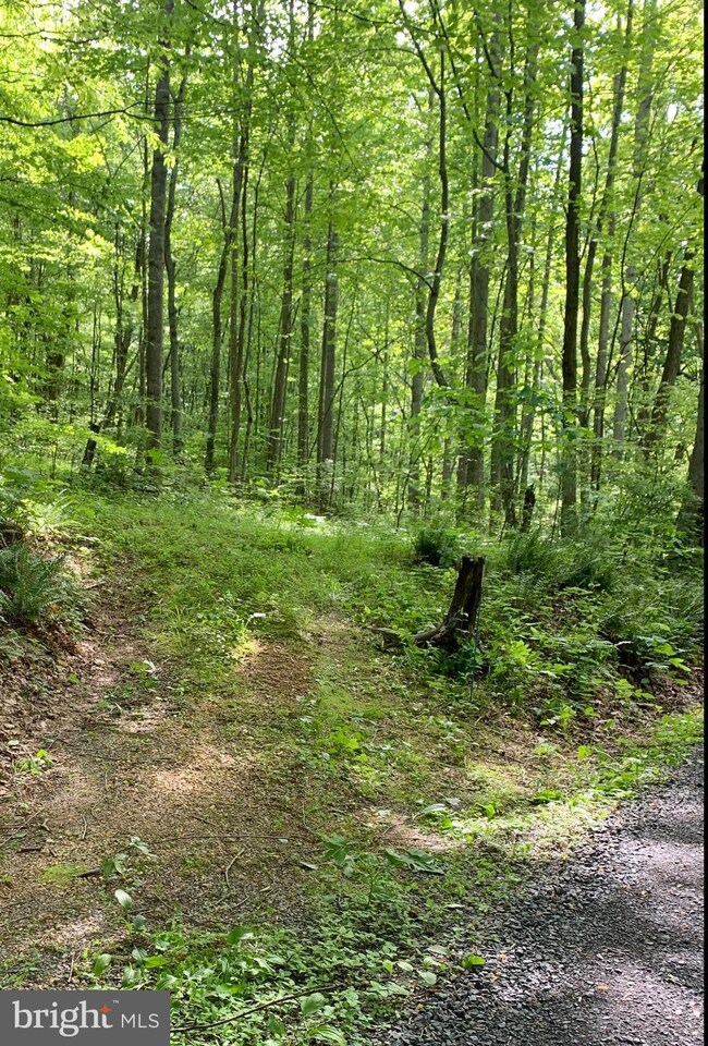 0 Gid Brown Hollow & Pointer Ridge Ln unit VARP107336, Washington, VA 22747 - photo 6