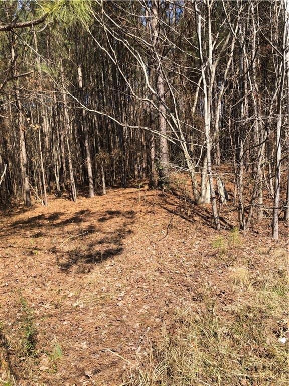 00 Scoggins Rd, Dallas, GA 30157 - photo 3