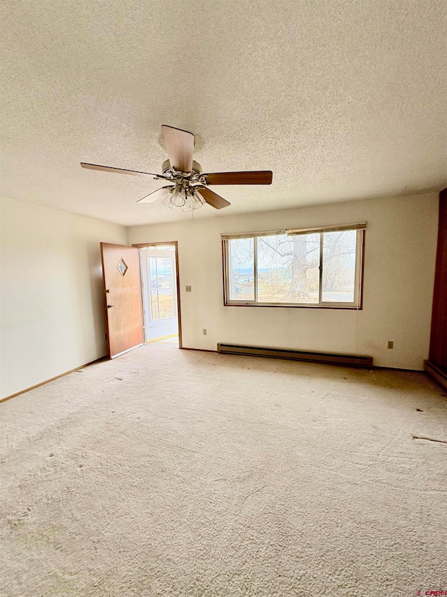 10728 Mesa View Dr, Austin, CO 81410 - photo 6